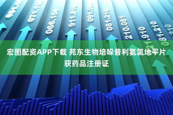 宏图配资APP下载 苑东生物培哚普利氨氯地平片获药品注册证