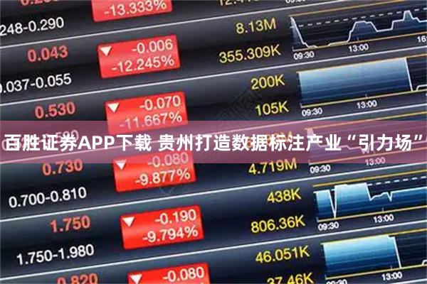 百胜证券APP下载 贵州打造数据标注产业“引力场”