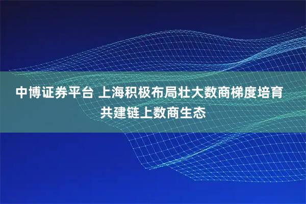 中博证券平台 上海积极布局壮大数商梯度培育 共建链上数商生态