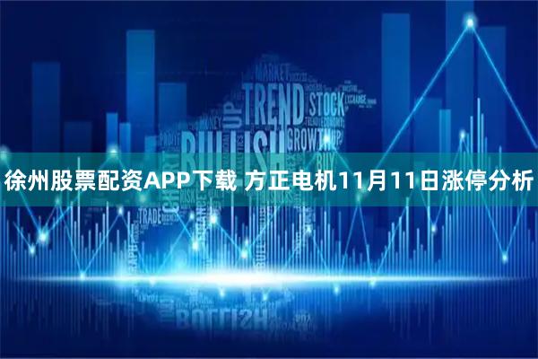 徐州股票配资APP下载 方正电机11月11日涨停分析