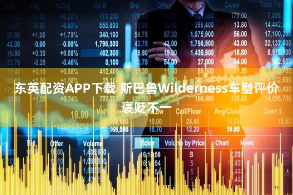 东英配资APP下载 斯巴鲁Wilderness车型评价褒贬不一