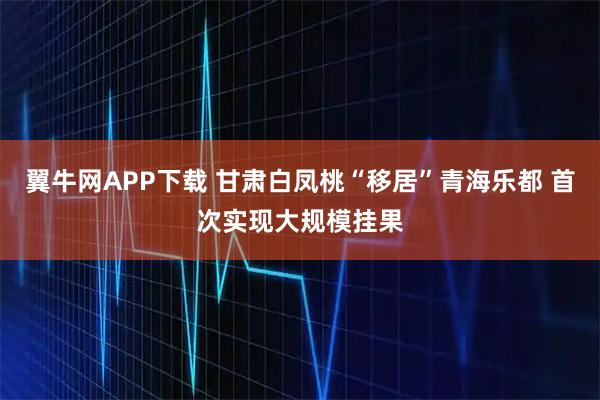 翼牛网APP下载 甘肃白凤桃“移居”青海乐都 首次实现大规模挂果