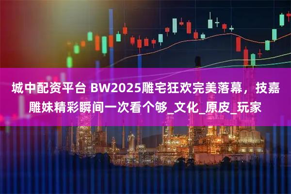 城中配资平台 BW2025雕宅狂欢完美落幕，技嘉雕妹精彩瞬间一次看个够_文化_原皮_玩家